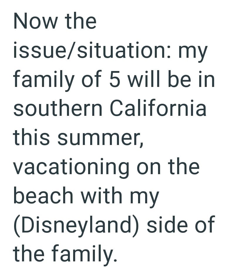 Now the issue/situation: my family of 5 will be in southern California this summer, vacationing on the beach with my (Disneyland) side of the family.