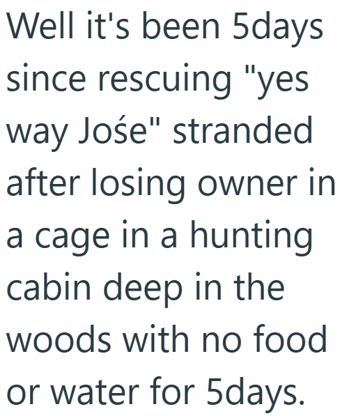Well it's been 5days since rescuing "yes way Jośe" stranded after losing owner in a cage in a hunting cabin deep in the woods with no food or water for 5days.