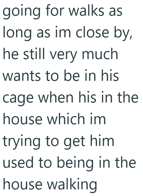 going for walks as long as im close by, he still very much wants to be in his cage when his in the house which im trying to get him used to being in the house walking