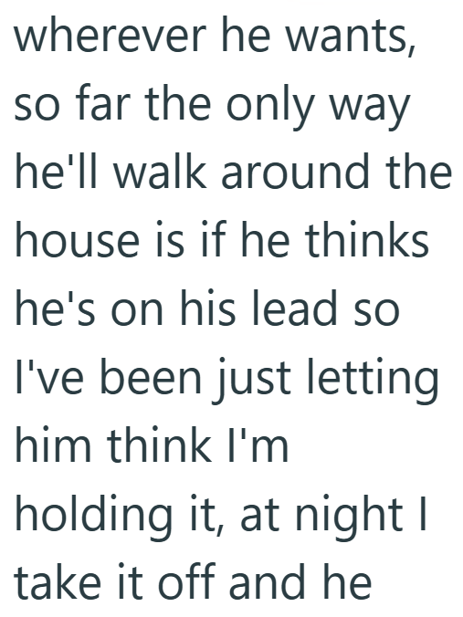 wherever he wants, so far the only way he'll walk around the house is if he thinks he's on his lead so I've been just letting him think I'm holding it, at night I take it off and he