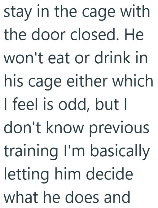 stay in the cage with the door closed. He won't eat or drink in his cage either which I feel is odd, but I don't know previous training I'm basically letting him decide what he does and