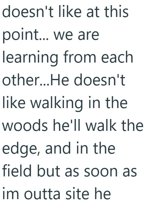 doesn't like at this point... we are learning from each other...He doesn't like walking in the woods he'll walk the edge, and in the field but as soon as im outta site he