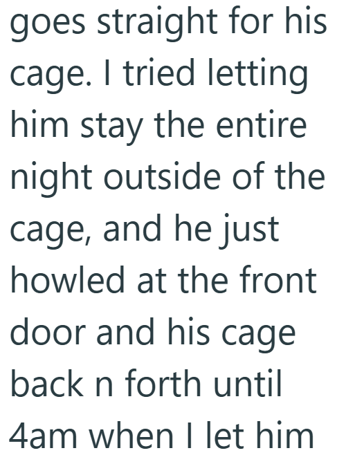 goes straight for his cage. I tried letting him stay the entire night outside of the cage, and he just howled at the front door and his cage back n forth until 4am when I let him