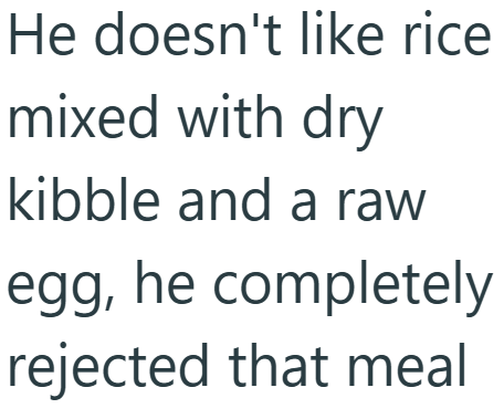 He doesn't like rice mixed with dry kibble and a raw egg, he completely rejected that meal
