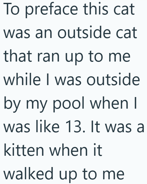 To preface this cat was an outside cat that ran up to me while I was outside by my pool when I was like 13. It was a kitten when it walked up to me