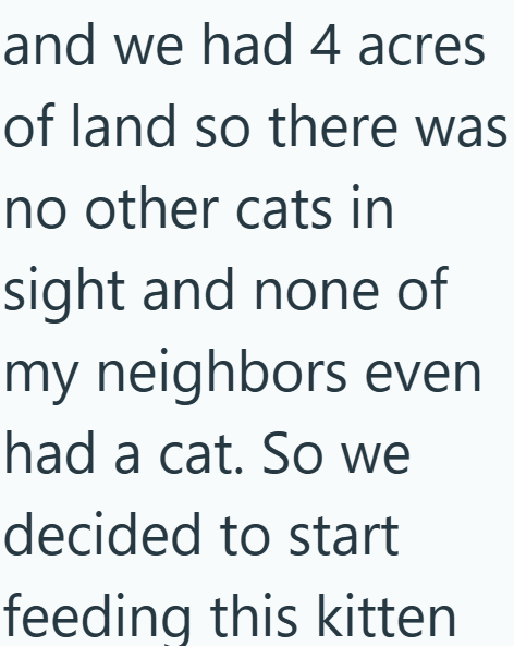 and we had 4 acres of land so there was no other cats in sight and none of my neighbors even had a cat. So we decided to start feeding this kitten
