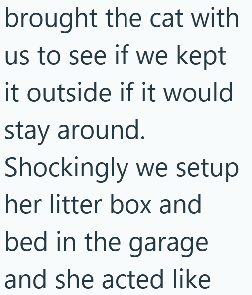 brought the cat with us to see if we kept it outside if it would stay around. Shockingly we setup her litter box and bed in the garage and she acted like