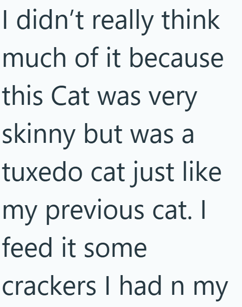 I didn't really think much of it because this Cat was very skinny but was a tuxedo cat just like my previous cat. I feed it some crackers I had n my