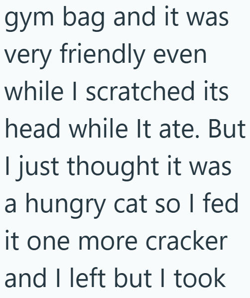 gym bag and it was very friendly even while I scratched its head while It ate. But I just thought it was a hungry cat so I fed it one more cracker and I left but I took