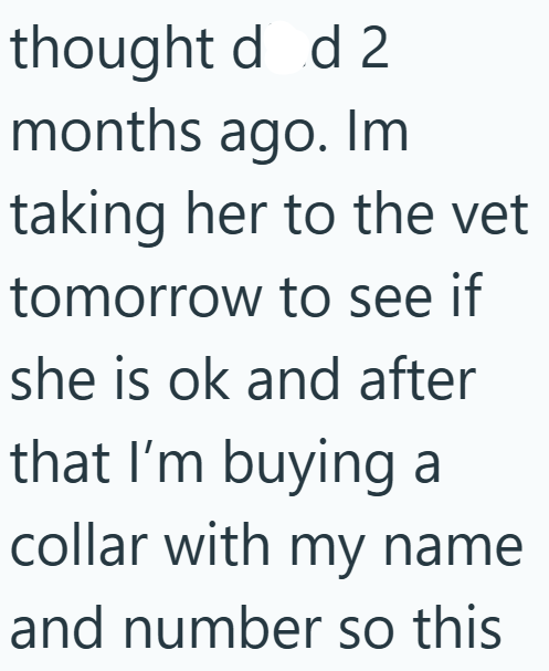 thought d d 2 months ago. Im taking her to the vet tomorrow to see if she is ok and after that I'm buying a collar with my name and number so this