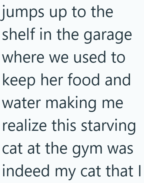 jumps up to the shelf in the garage where we used to keep her food and water making me realize this starving cat at the gym was indeed my cat that I