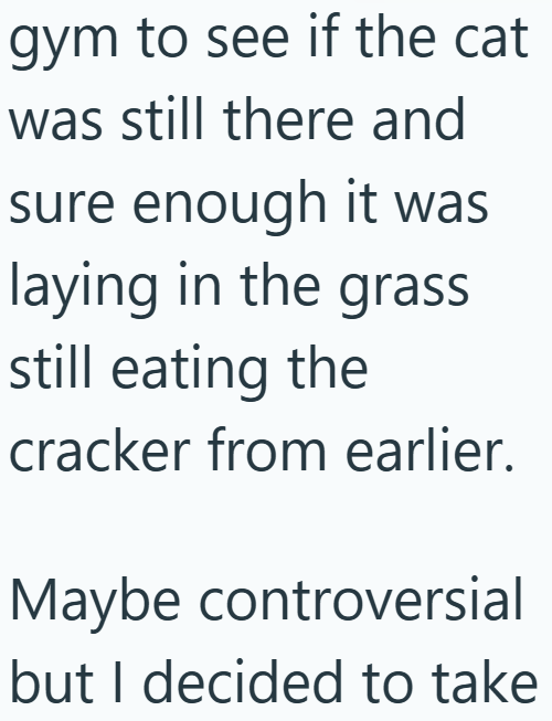 gym to see if the cat was still there and sure enough it was laying in the grass still eating the cracker from earlier. Maybe controversial but I decided to take