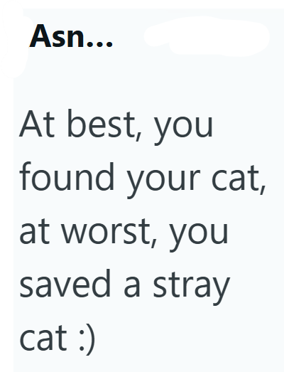 Asn... At best, you found your cat, at worst, you saved a stray cat :)
