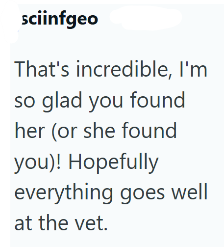 sciinfgeo That's incredible, I'm so glad you found her (or she found you)! Hopefully everything goes well at the vet.