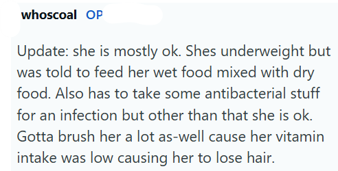 whoscoal OP Update: she is mostly ok. Shes underweight but was told to feed her wet food mixed with dry food. Also has to take some antibacterial stuff for an infection but other than that she is ok. Gotta brush her a lot as-well cause her vitamin intake was low causing her to lose hair.