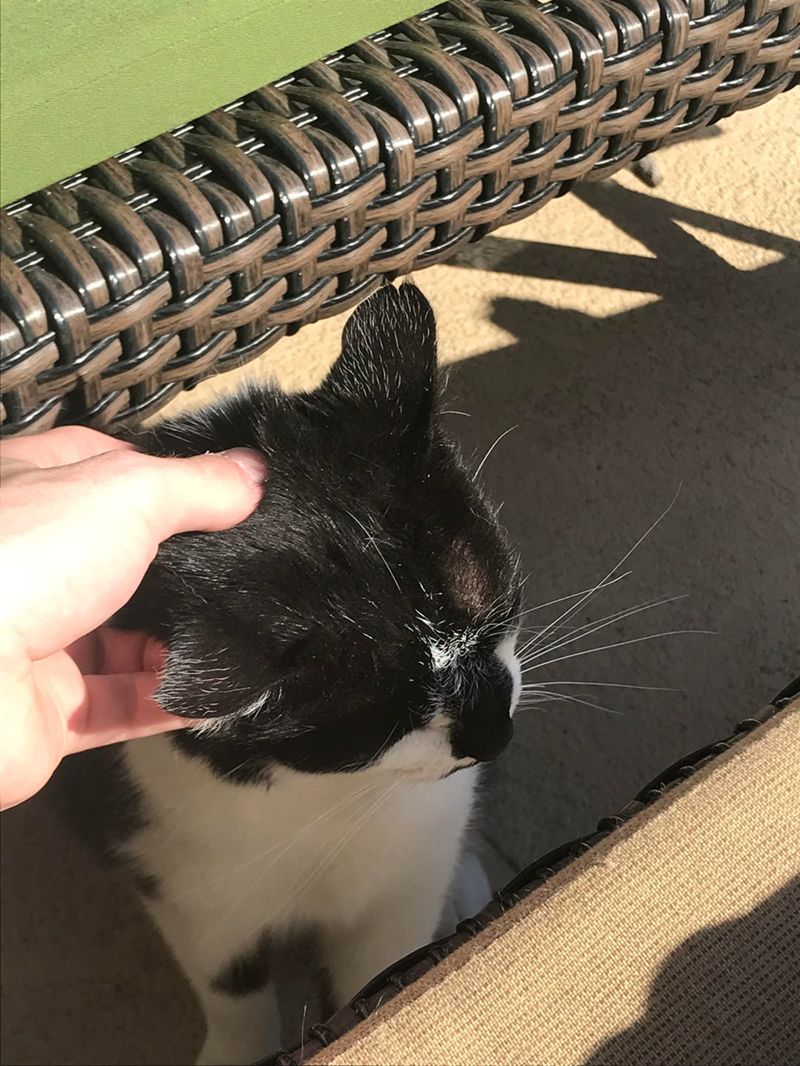 Cheezburger Image 10610255360