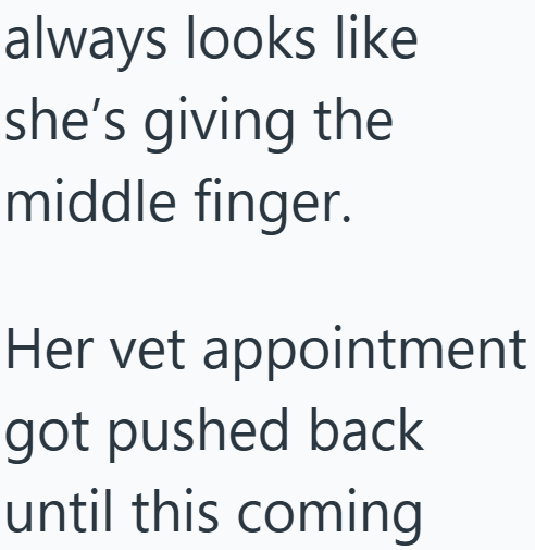 Cheezburger Image 10610256128