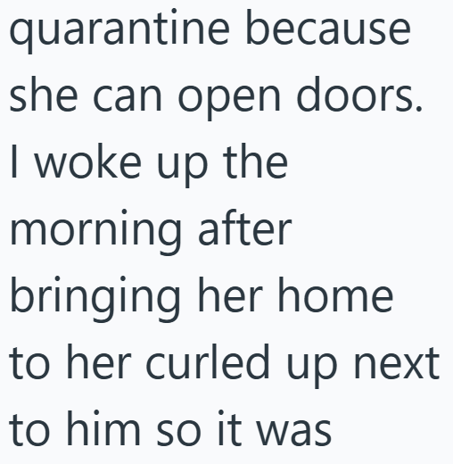 Cheezburger Image 10610257152