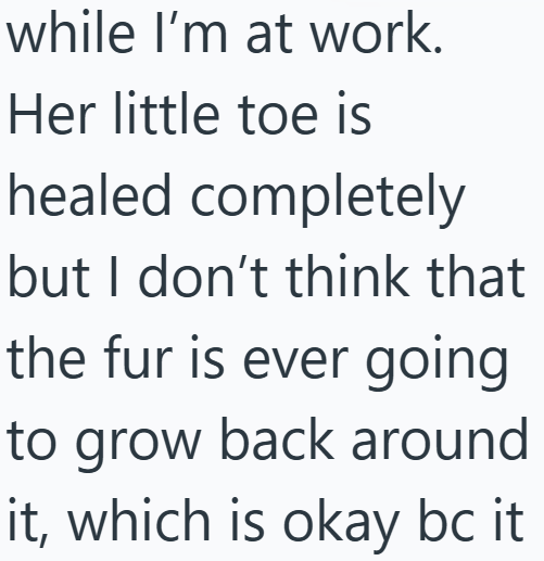 Cheezburger Image 10610257408