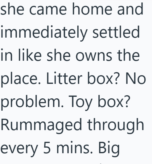 Cheezburger Image 10610257920