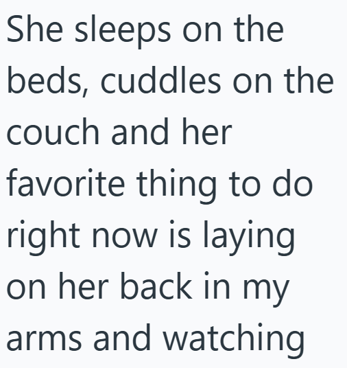 Cheezburger Image 10610258176