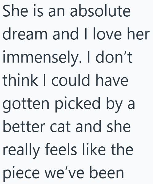 Cheezburger Image 10610258944