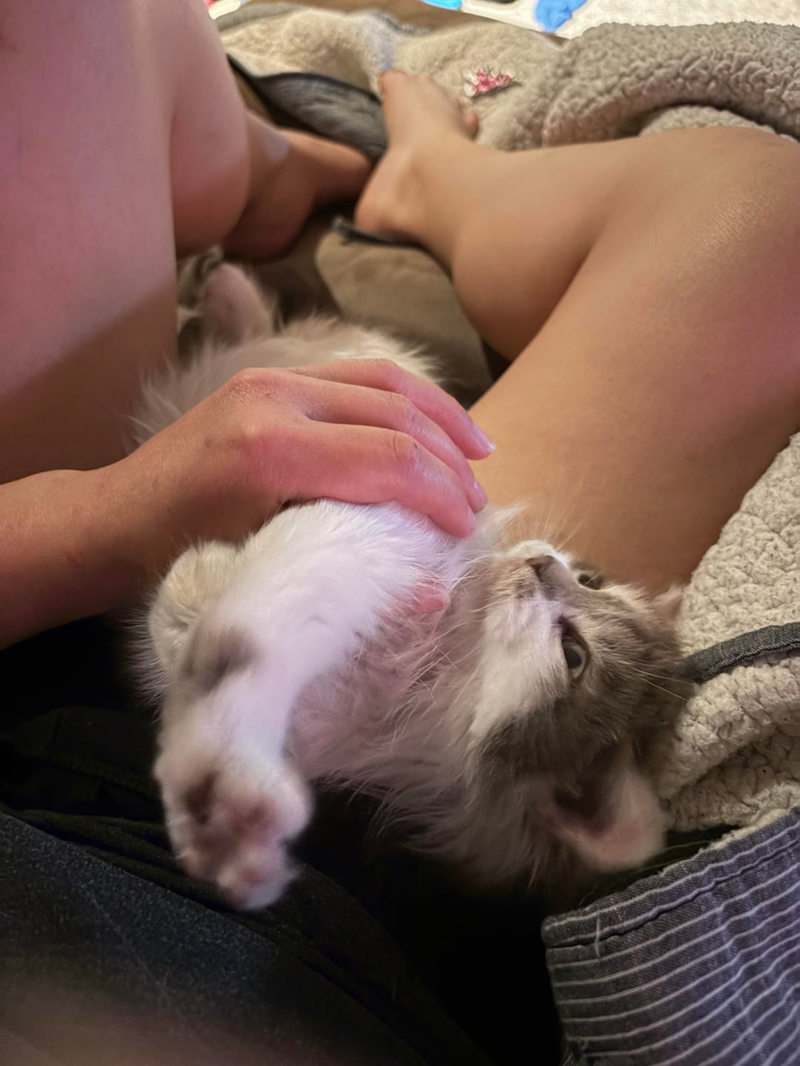 Cheezburger Image 10610259968