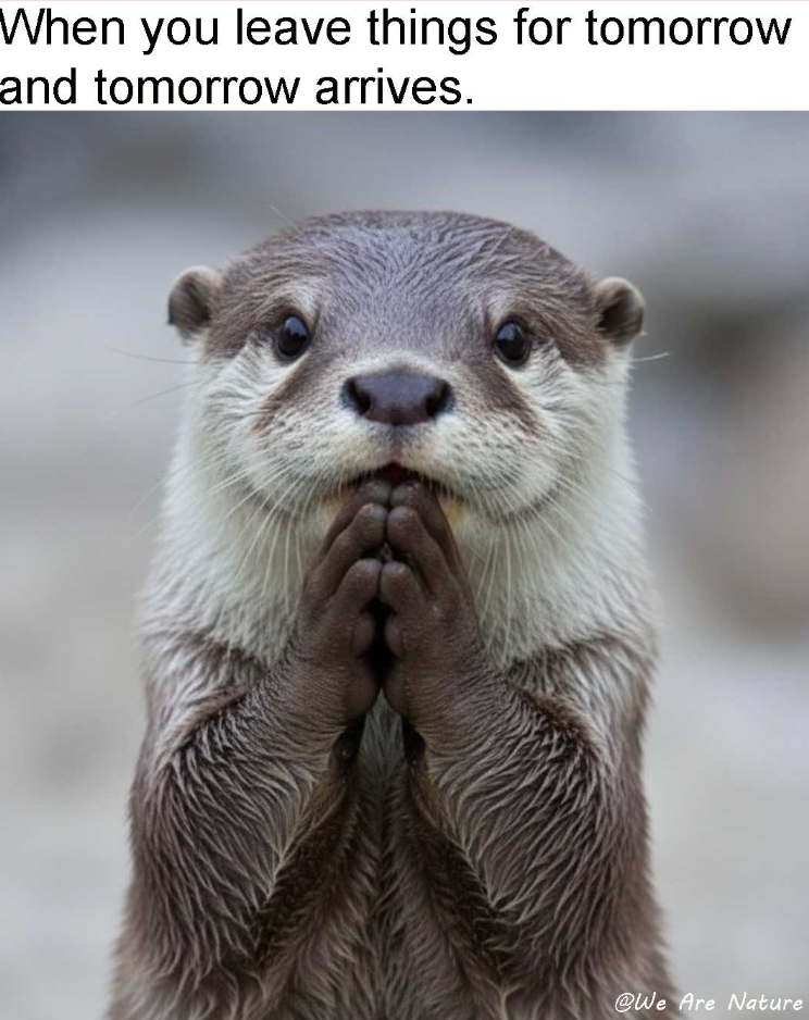 When you leave things for tomorrow and tomorrow arrives. @We Are Nature