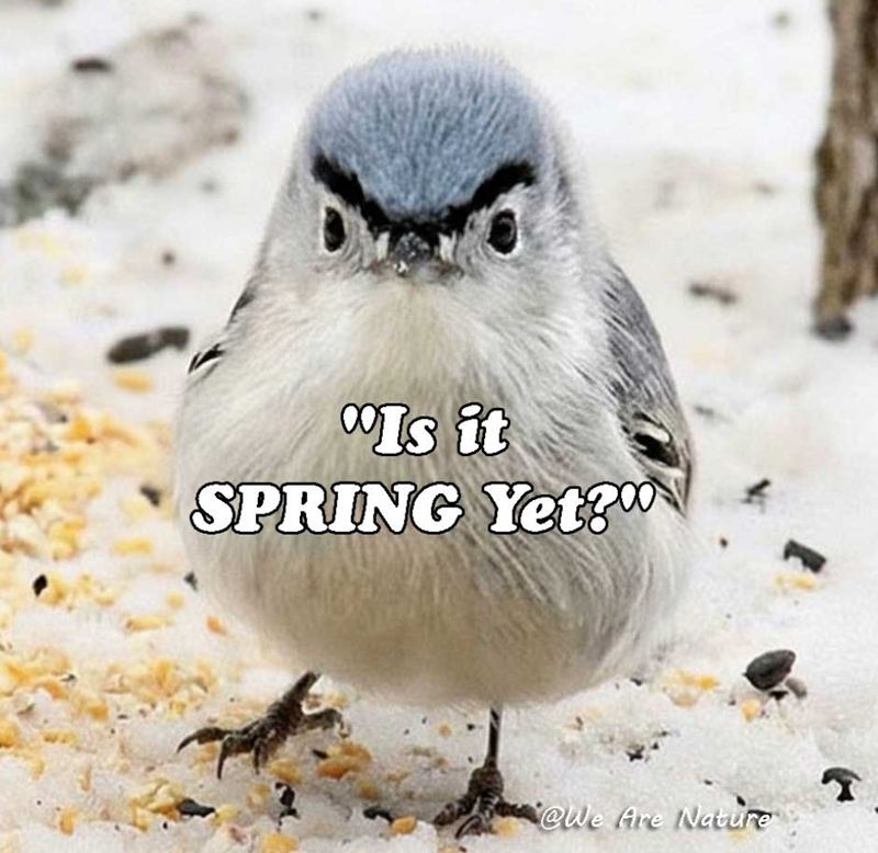 Is it SPRING Yet? @We Are Nature