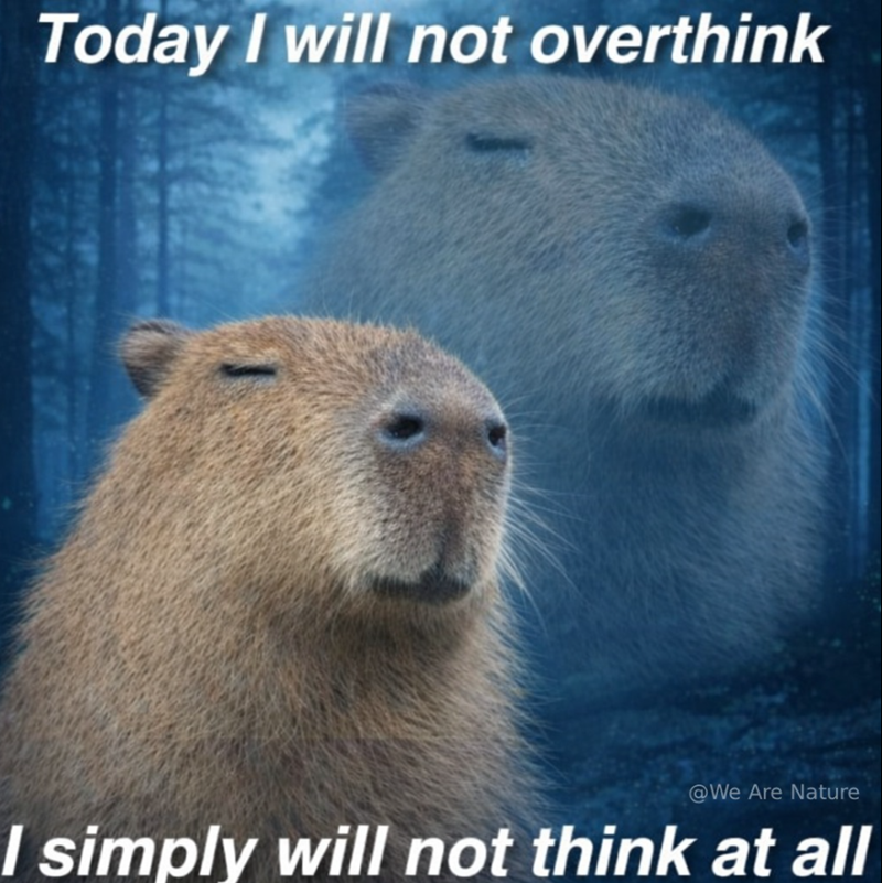 Today I will not overthink @We Are Nature I simply will not think at all