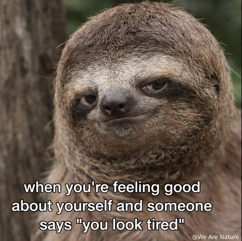 when you're feeling good about yourself and someone says "you look tired" @We Are Nature