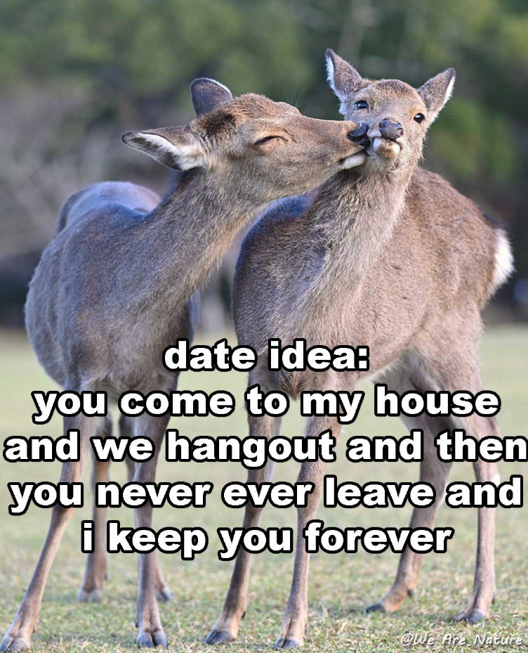 date idea: you come to my house and we hangout and then you never ever leave and i keep you forever @We Are Nature