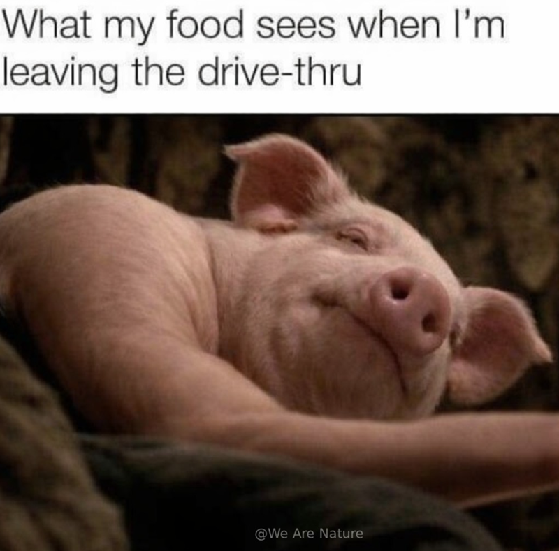 What my food sees when I'm leaving the drive-thru @We Are Nature