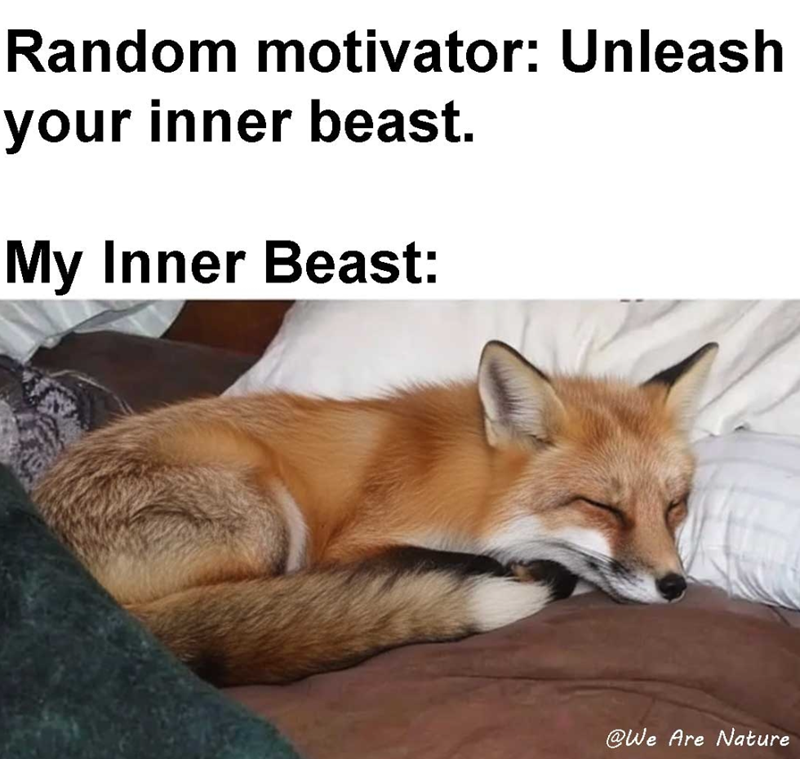 Random motivator: Unleash your inner beast. My Inner Beast: @We Are Nature