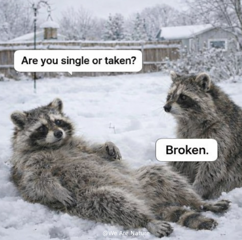 Are you single or taken? @We Are Nature Broken.