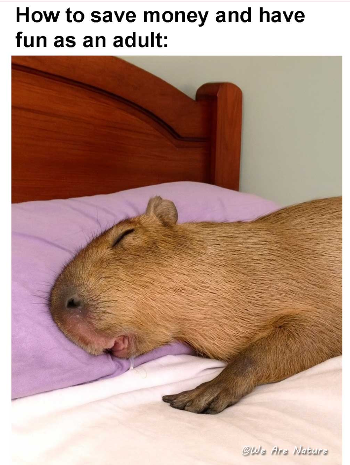 How to save money and have fun as an adult: @We Are Nature