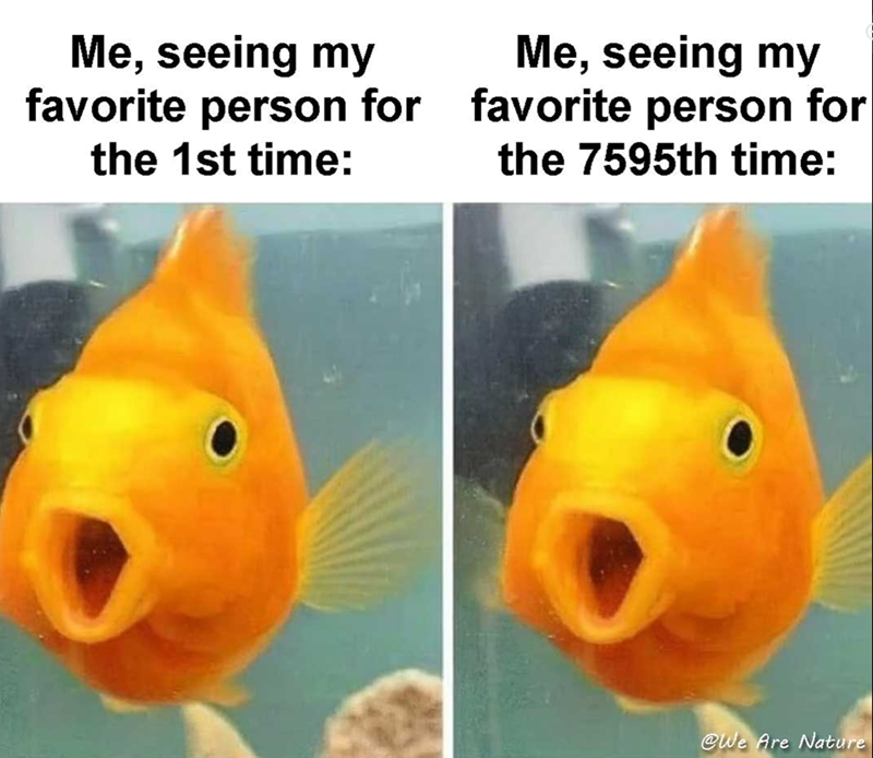 Me, seeing my favorite person for the 1st time: Me, seeing my favorite person for the 7595th time: @We Are Nature