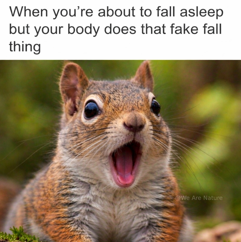 When you're about to fall asleep but your body does that fake fall thing @We Are Nature