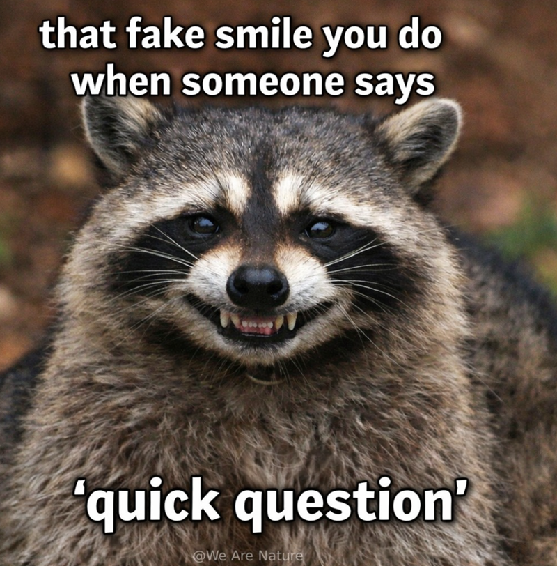 that fake smile you do when someone says 'quick question' @We Are Nature