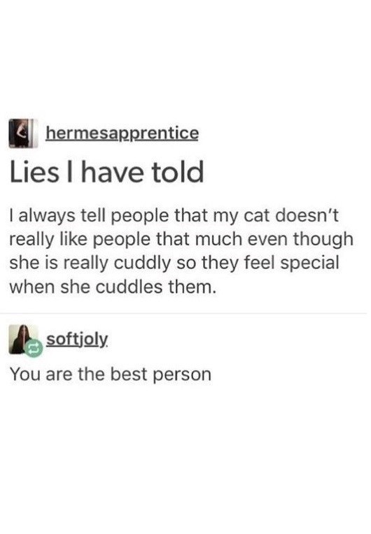 hermesapprentice Lies I have told I always tell people that my cat doesn't really like people that much even though she is really cuddly so they feel special when she cuddles them. softjoly You are the best person