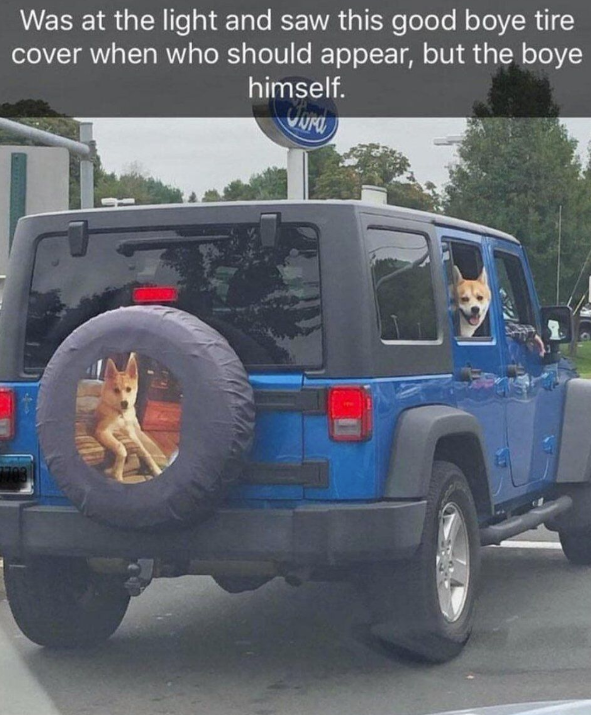 Was at the light and saw this good boye tire cover when who should appear, but the boye himself. NF
