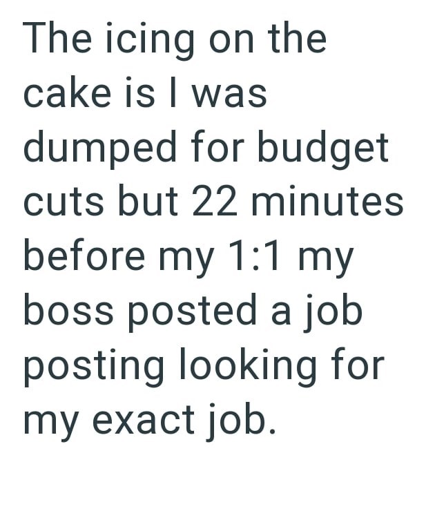 The icing on the cake is I was dumped for budget cuts but 22 minutes before my 1:1 my boss posted a job posting looking for my exact job.