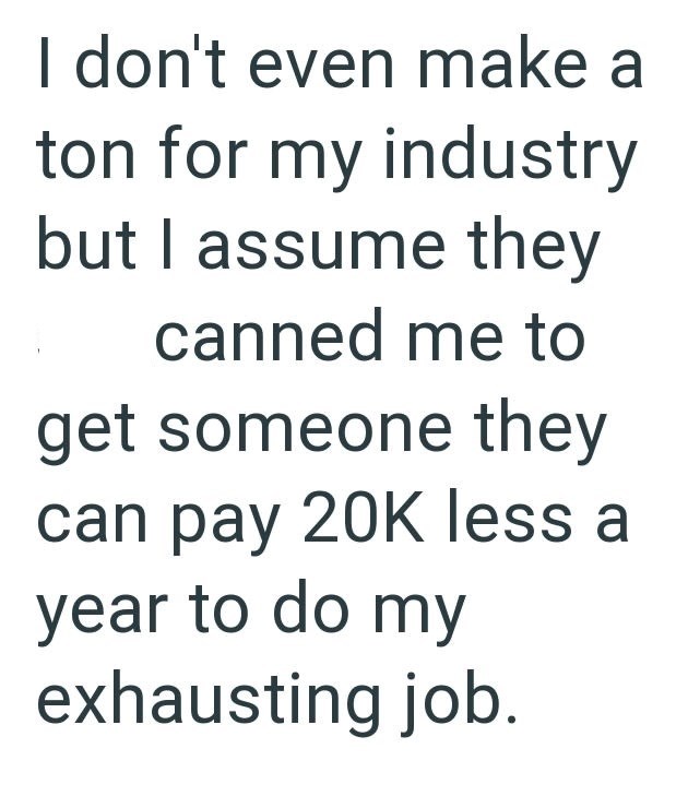 I don't even make a ton for my industry but I assume they canned me to get someone they can pay 20K less a year to do my exhausting job.