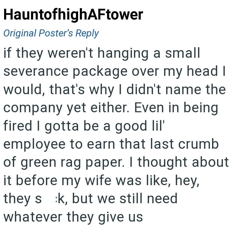 HauntofhighAFtower Original Poster's Reply if they weren't hanging a small severance package over my head I would, that's why I didn't name the company yet either. Even in being fired I gotta be a good lil' employee to earn that last crumb of green rag paper. I thought about it before my wife was like, hey, they sk, but we still need whatever they give us