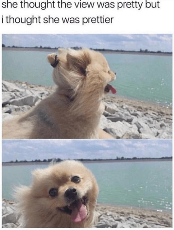 she thought the view was pretty but i thought she was prettier