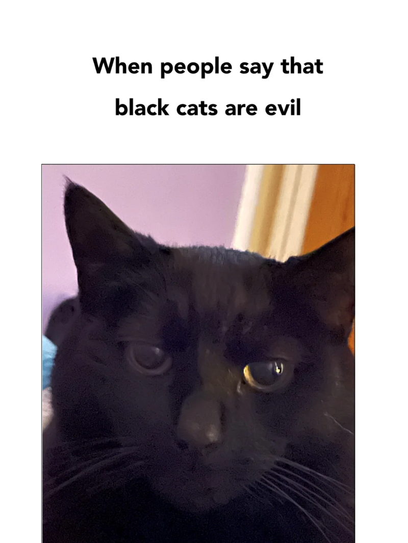 When people say that black cats are evil