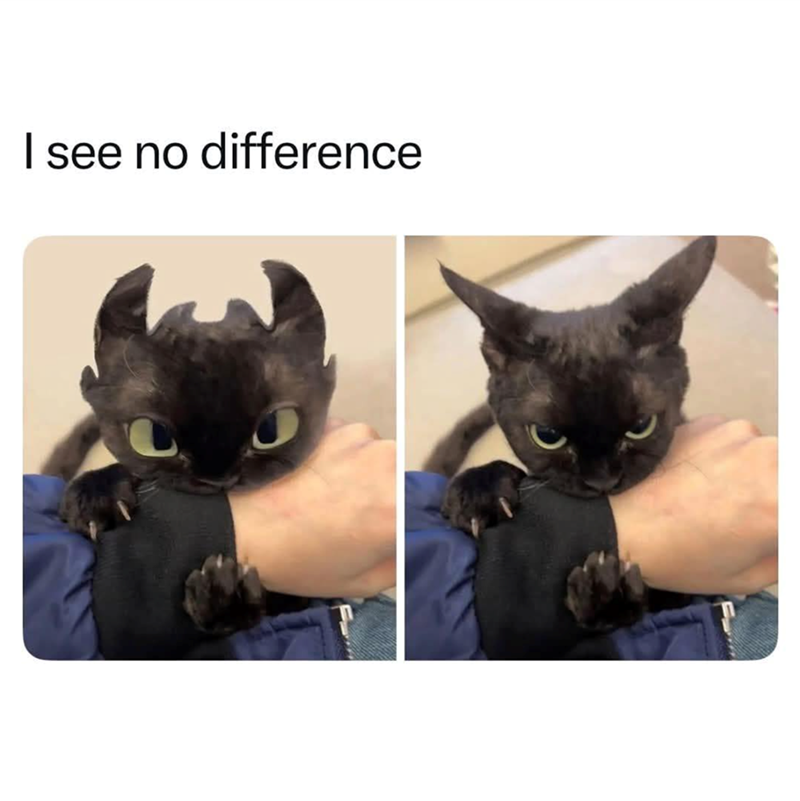 I see no difference