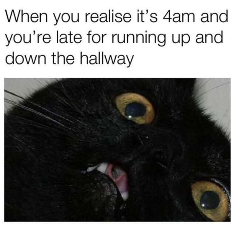 When you realise it's 4am and you're late for running up and down the hallway