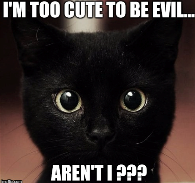 I'M TOO CUTE TO BE EVIL... imaflip.com AREN'T I???