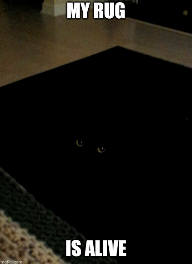 MY RUG IS ALIVE imgflip.com